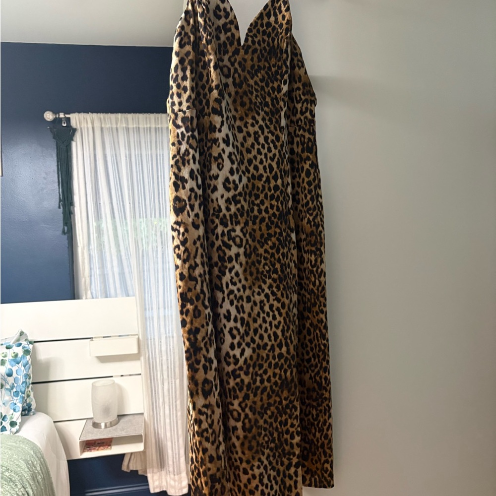 Express Leopard Print Dress